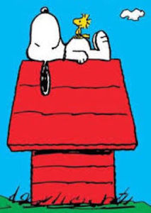 Meet your Posher, Chloe